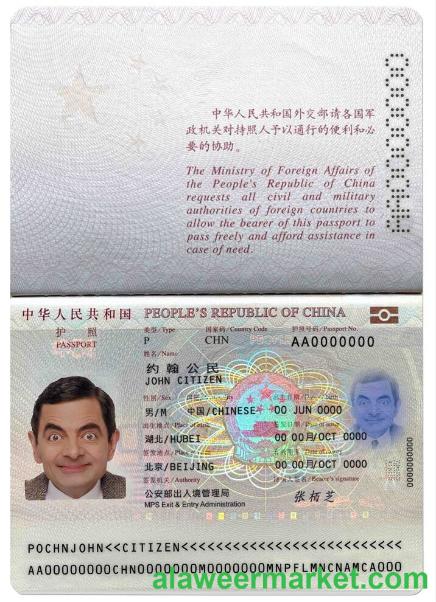 China passport (2013-present)